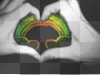 love heart hand