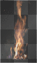 bonfire bonfire