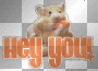 HEY YOU