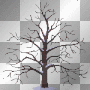 CHANGING TREE