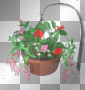 Hanging Flowers