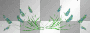 reeds