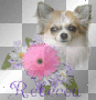 rebecca