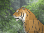 Roaring Tiger