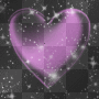 fond noir avec coeur violet 
