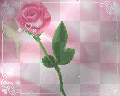 bouquet de rose love you