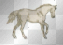 Trotting Horse Background  :-}