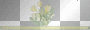 muguet