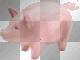 Animated Piggy  :-}