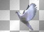 Flying White Dove  :-}