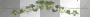 flowered gold border
