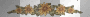sunflower frame/border