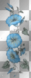 blue flowers