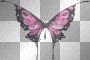 Animated Purple & Black Butterfly  :-}