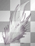 feather