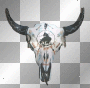 cow skull cow skull