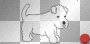 Cute Puppy
