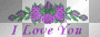 Purple I Love You  :-}
