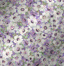 Daisies