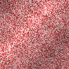 glitter