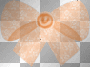 noeud orange