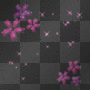 purple flowers