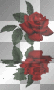 mirrored rose