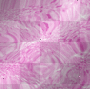 Water Pink Water Pink
