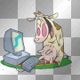 VACA VACA