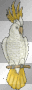 Cacadu