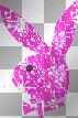 Playboy Bunny