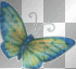 grn butterfly