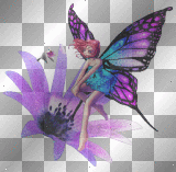 Butterfly fairy and bird