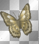 Animated Gold Butterfly  (right)  :-}