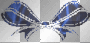 blue bow