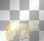 rinning bear
