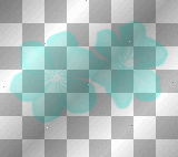 transparent flower 
