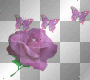 purple rose and butterflys