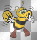 abeille