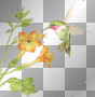 humming bird w/flowers