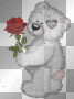Creddy bears Creddy bears