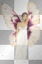 Fairy
