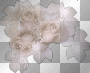 fleure fleure