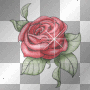 another  nice  glitter  rose