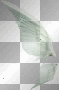 white wing left 