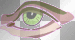 green eye
