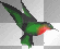 Hummingbird