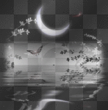 external image 180576521_1805168.gif?4