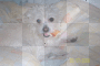 eating pizza