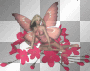 fairy fairy